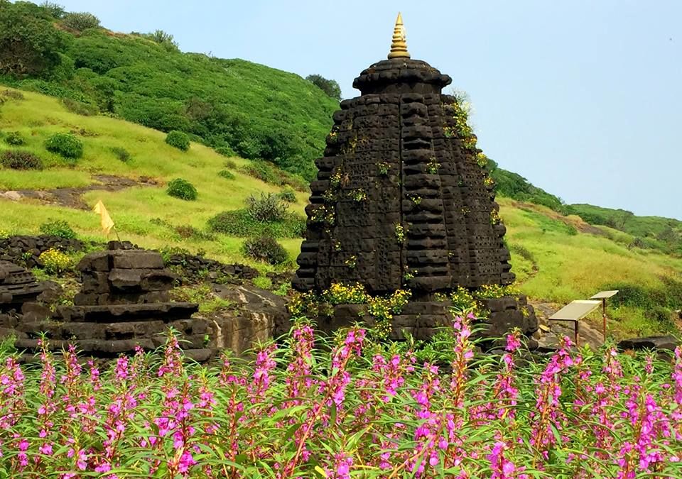 Photo of Gorgeous Monsoon Treks In The Western Ghats That Will Leave You Bewitched 8/12 by Dipanwita Chakraborty