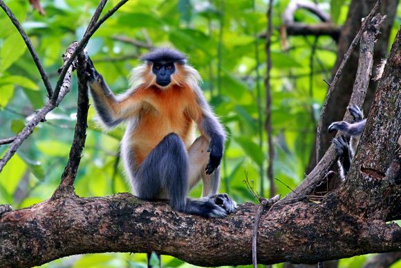 Photo of A Jungle Trek Through This National Park Will Make You Fall In Love With Wilderness by Dipanwita Chakraborty