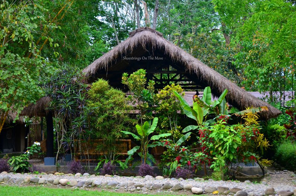 Photo of Nameri Eco Camp- Nameri National Par by Dipanwita Chakraborty
