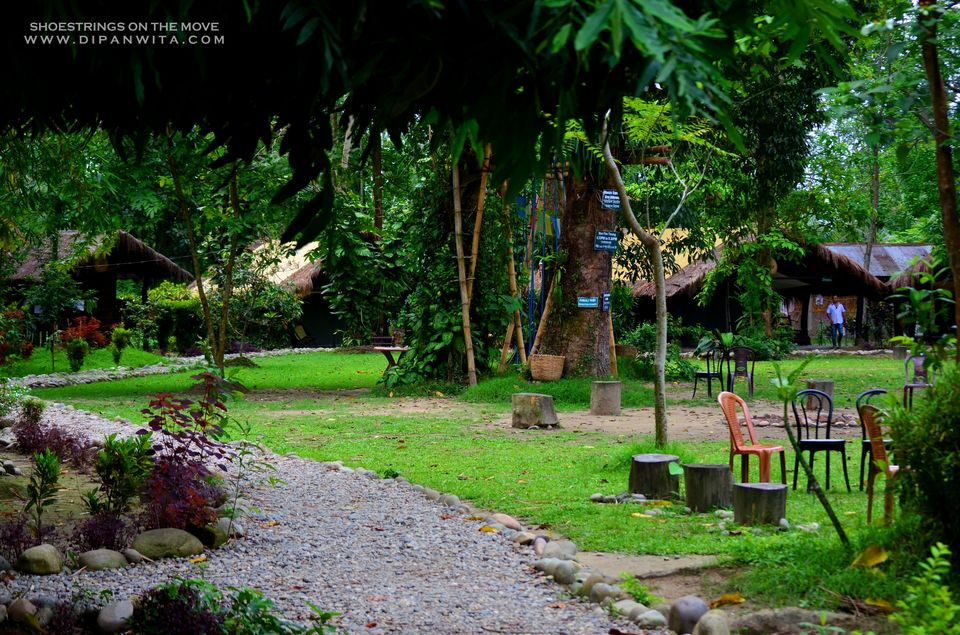 Photo of Nameri Eco Camp- Nameri National Par by Dipanwita Chakraborty