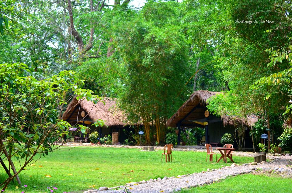 Photo of Nameri Eco Camp- Nameri National Par by Dipanwita Chakraborty