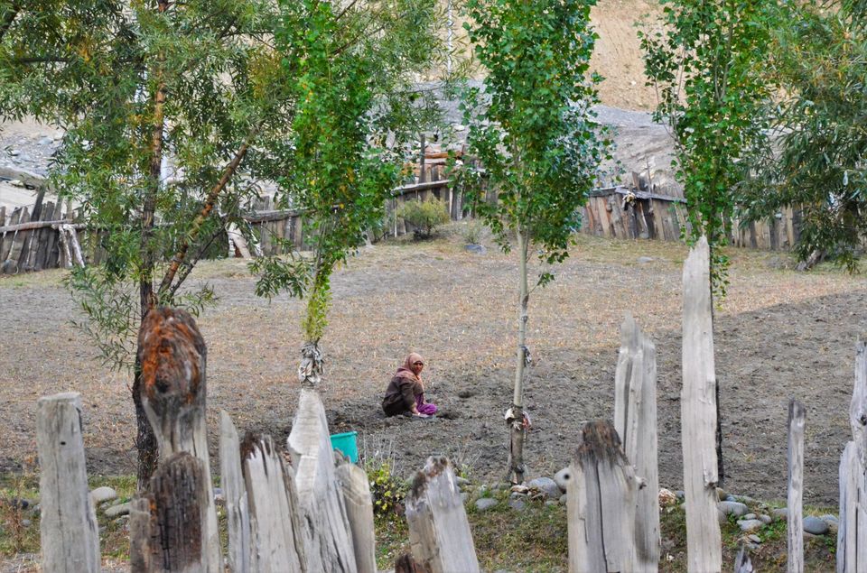 Photo of Life In Gurez Valley: Helming Sunny Between Merciless Winters 5/22 by Dipanwita Chakraborty