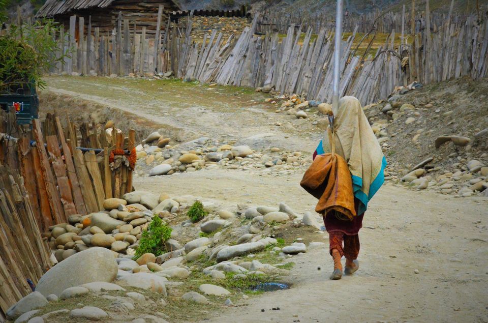 Photo of Life In Gurez Valley: Helming Sunny Between Merciless Winters 13/22 by Dipanwita Chakraborty