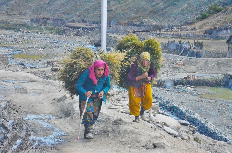 Photo of Life In Gurez Valley: Helming Sunny Between Merciless Winters 12/22 by Dipanwita Chakraborty