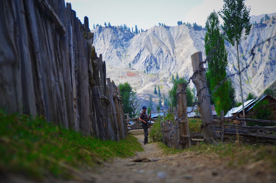 Photo of Life In Gurez Valley: Helming Sunny Between Merciless Winters 20/22 by Dipanwita Chakraborty