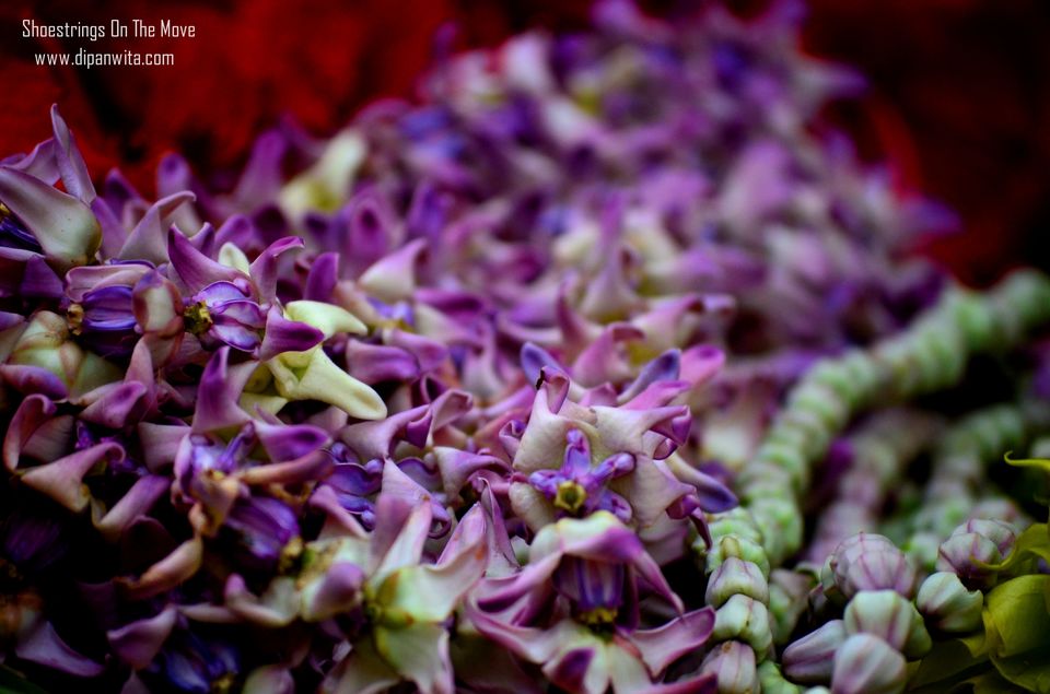 Photo of Mallik Ghat Flower Market- A Riot Of Colors Under Howrah Bridge 3/21 by Dipanwita Chakraborty