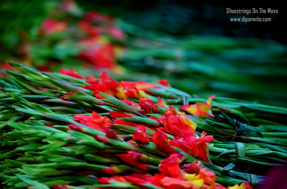 Photo of Mallik Ghat Flower Market- A Riot Of Colors Under Howrah Bridge 5/21 by Dipanwita Chakraborty