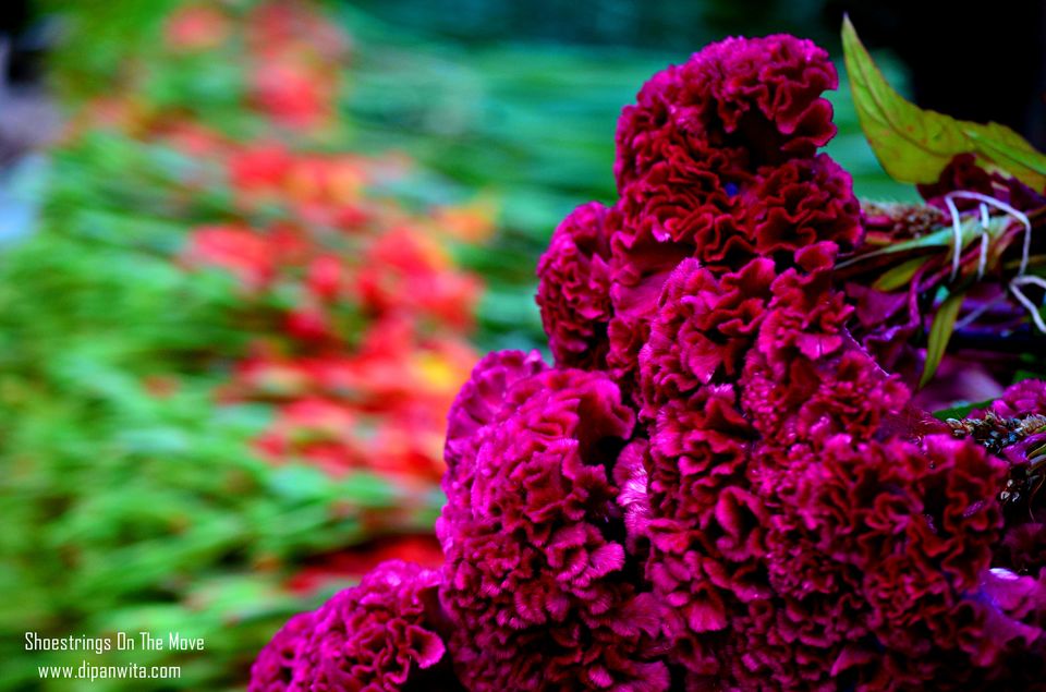 Photo of Mallik Ghat Flower Market- A Riot Of Colors Under Howrah Bridge 7/21 by Dipanwita Chakraborty