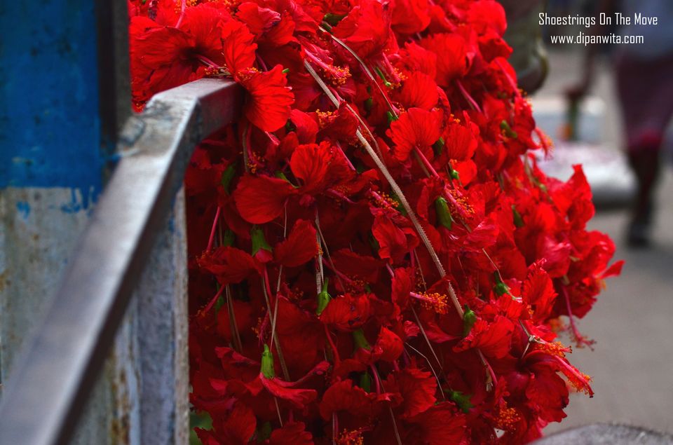 Photo of Mallik Ghat Flower Market- A Riot Of Colors Under Howrah Bridge 9/21 by Dipanwita Chakraborty