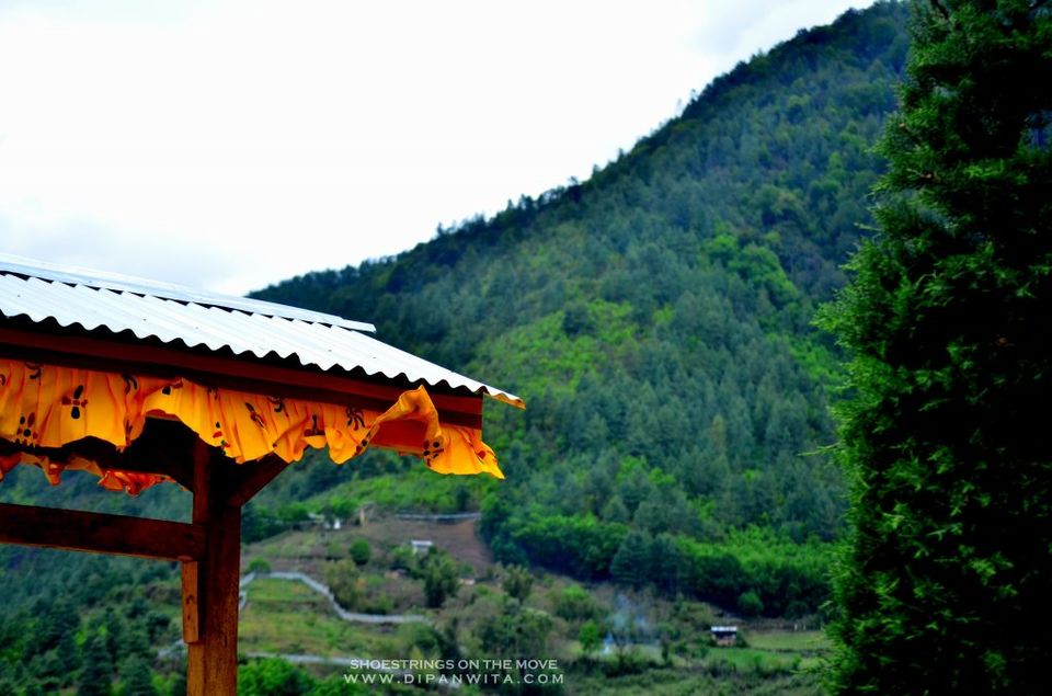 Photo of Sangti Valley - A Treasure Trove of Serenity 1/5 by Dipanwita Chakraborty