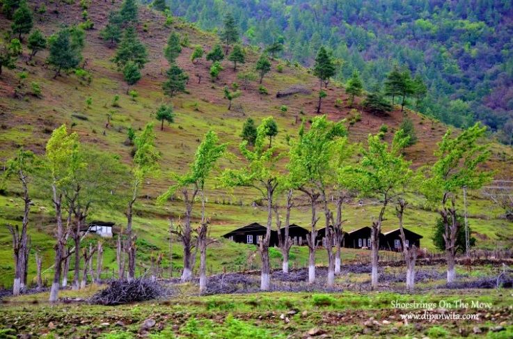Photo of Sangti Valley - A Treasure Trove of Serenity 5/5 by Dipanwita Chakraborty