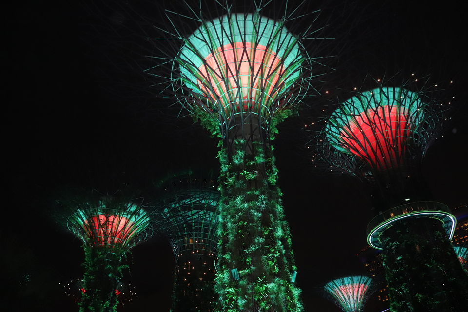 Photo of Singapore| A Trip to Remember by Prannoy Naskar