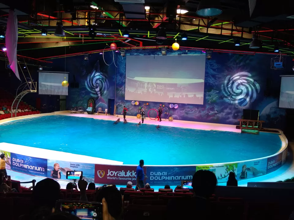 Photo of Dubai Dolphinarium - Dubai - United Arab Emirates by Prannoy Naskar