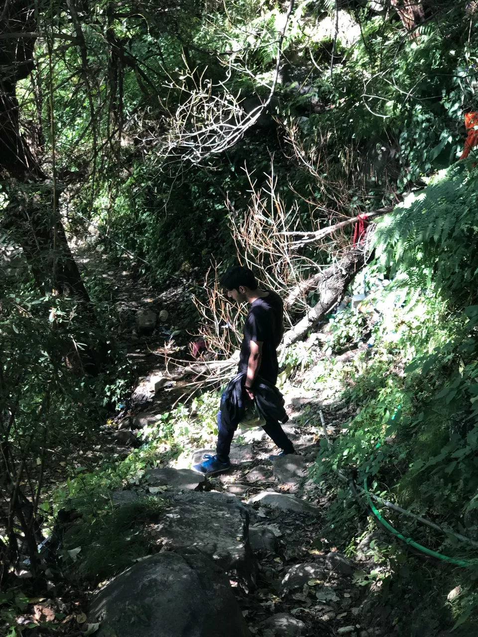 Photo of Jogini Falls, Vashist, Himachal Pradesh, India by Tejasvi.Moodytraveller