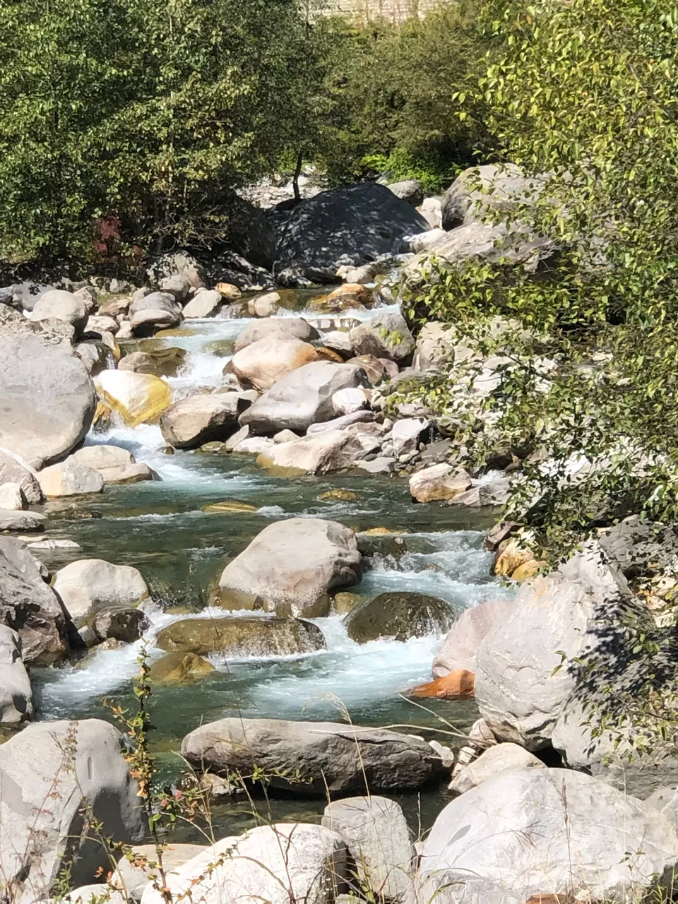 Photo of Jogini Falls, Vashist, Himachal Pradesh, India by Tejasvi.Moodytraveller