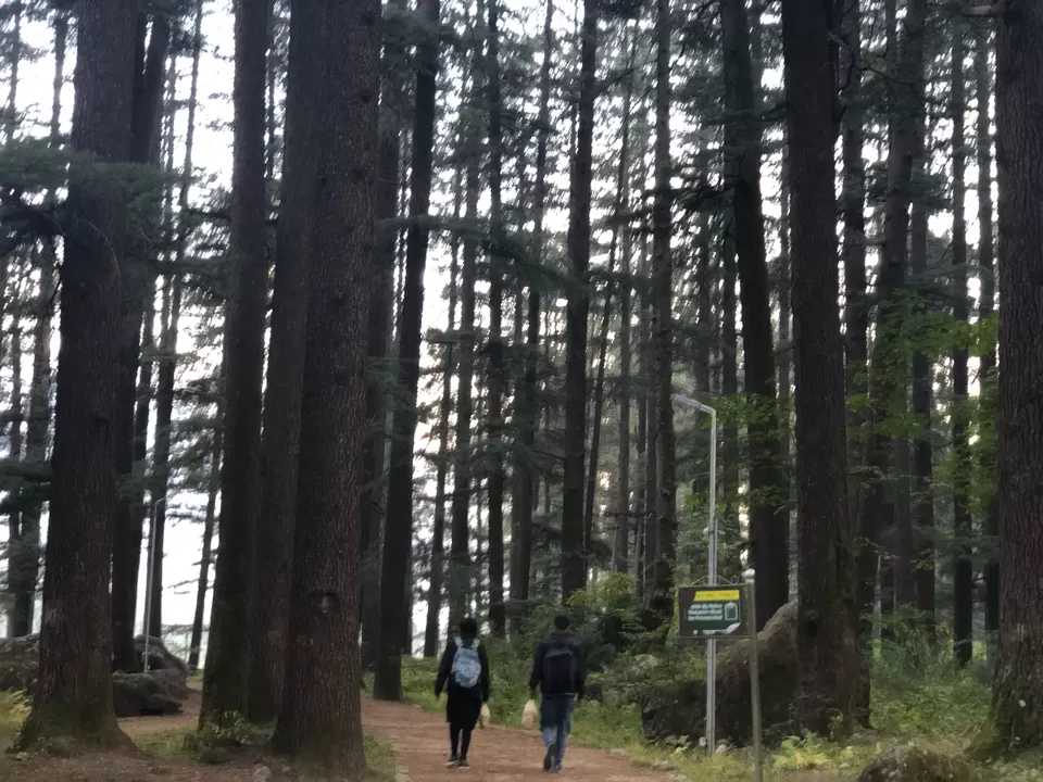 Photo of Jogini Falls, Vashist, Himachal Pradesh, India by Tejasvi.Moodytraveller