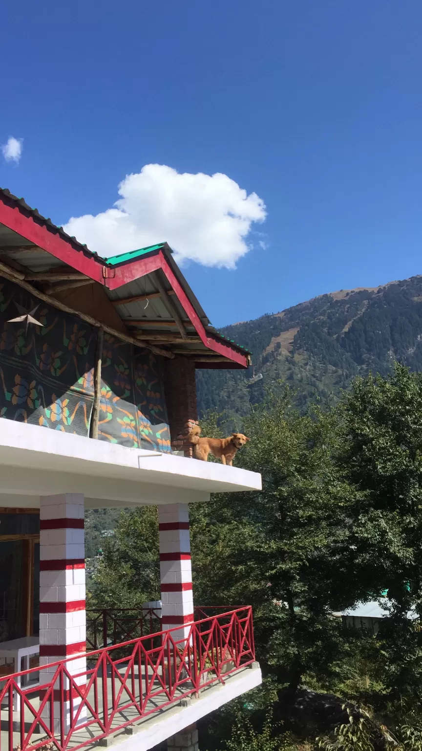 Photo of Jogini Falls, Vashist, Himachal Pradesh, India by Tejasvi.Moodytraveller