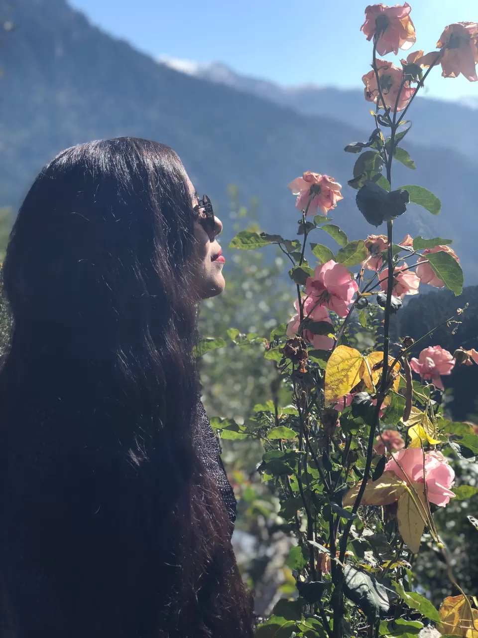 Photo of Jogini Falls, Vashist, Himachal Pradesh, India by Tejasvi.Moodytraveller