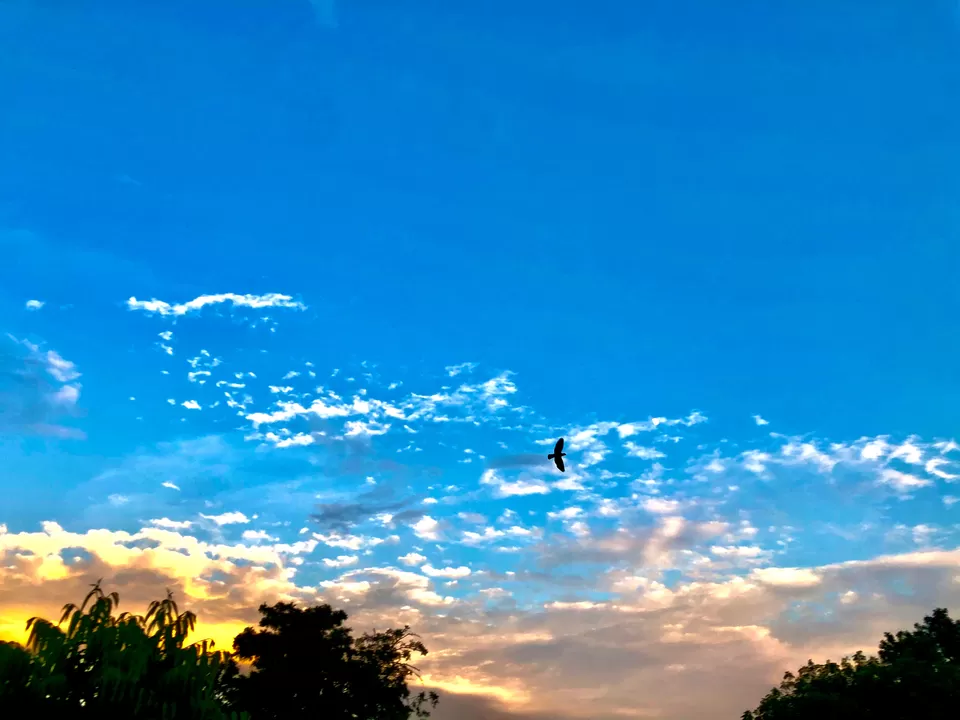 Photo of Bharatpur Bird Sanctuary, Road, Bharatpur, Rajasthan, India by Tejasvi.Moodytraveller