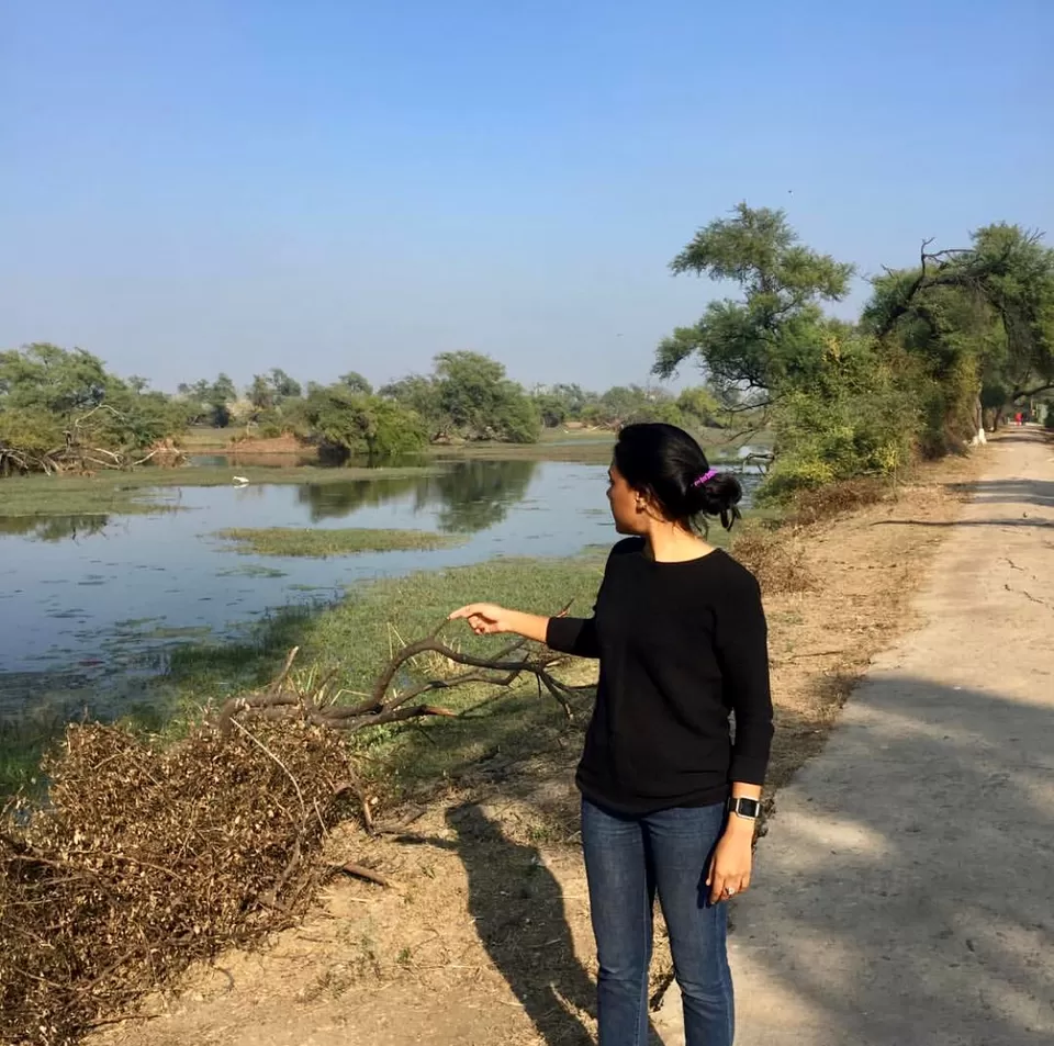Photo of Bharatpur Bird Sanctuary, Road, Bharatpur, Rajasthan, India by Tejasvi.Moodytraveller