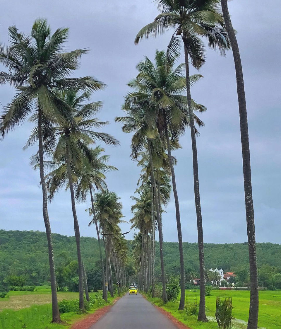 Photo of Goa, India by Nitin Yadav