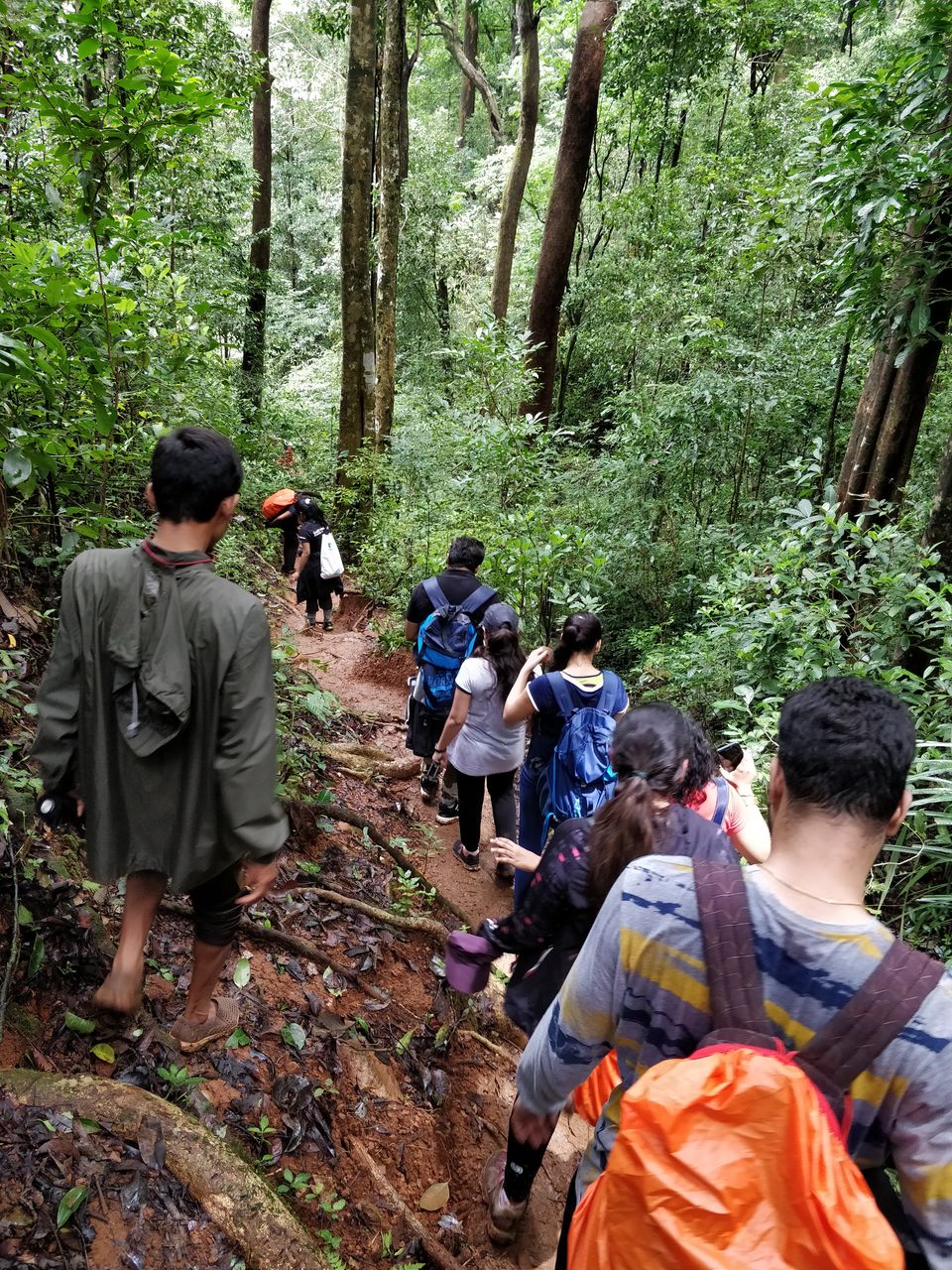 Photo of What trekking-with-a-group-of-strangers does to you 3/3 by Vishala V - Frames & Words