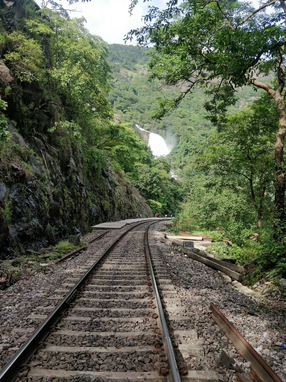 Photo of Reaching Doodh Sagar Waterfalls from Hubli/Dharwad/Belgaum by Vishala V - Frames & Words