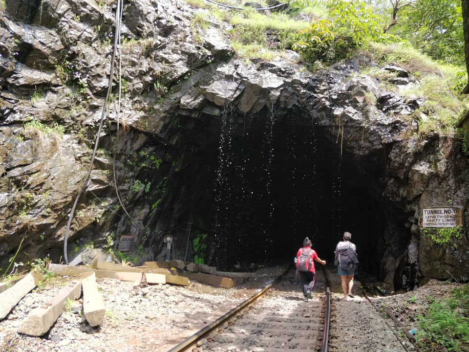 Photo of Dudhsagar Falls, Sonaulim, Goa, India by Vishala V - Frames & Words