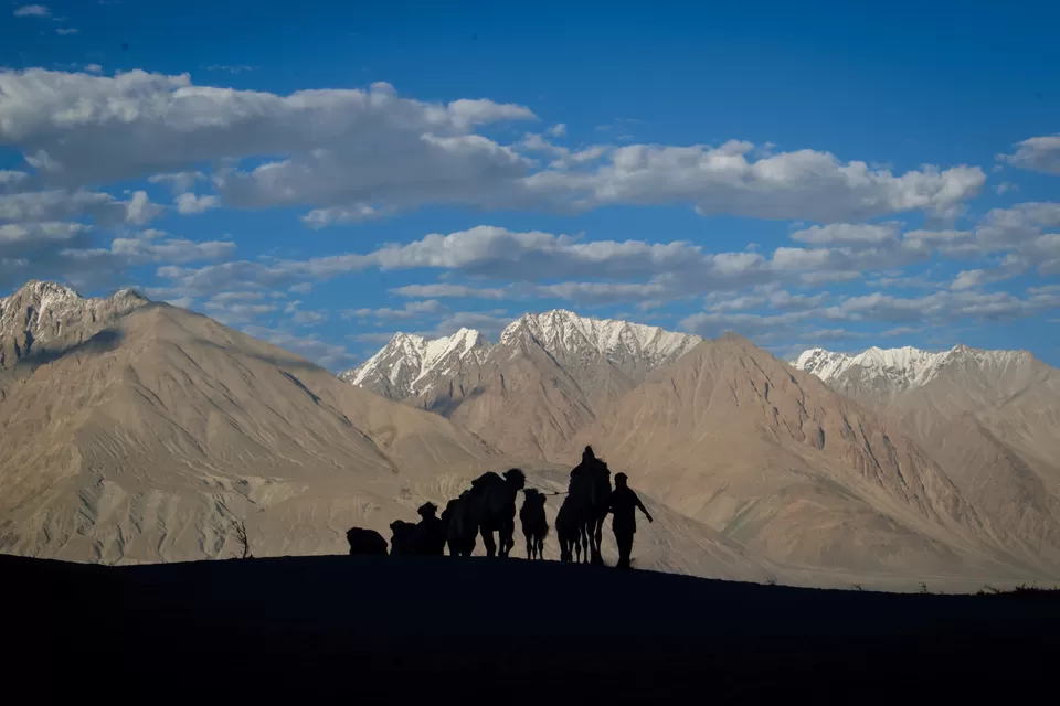Photo of Hunder Sand Dunes, Hunder by Amey Pednekar