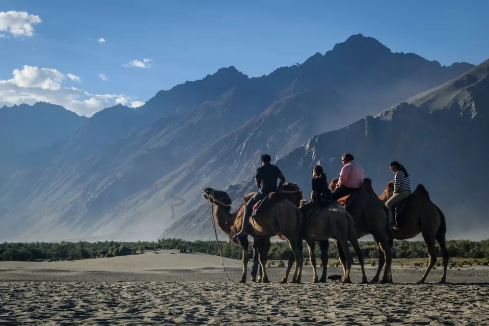 Photo of Hunder Sand Dunes, Hunder by Amey Pednekar