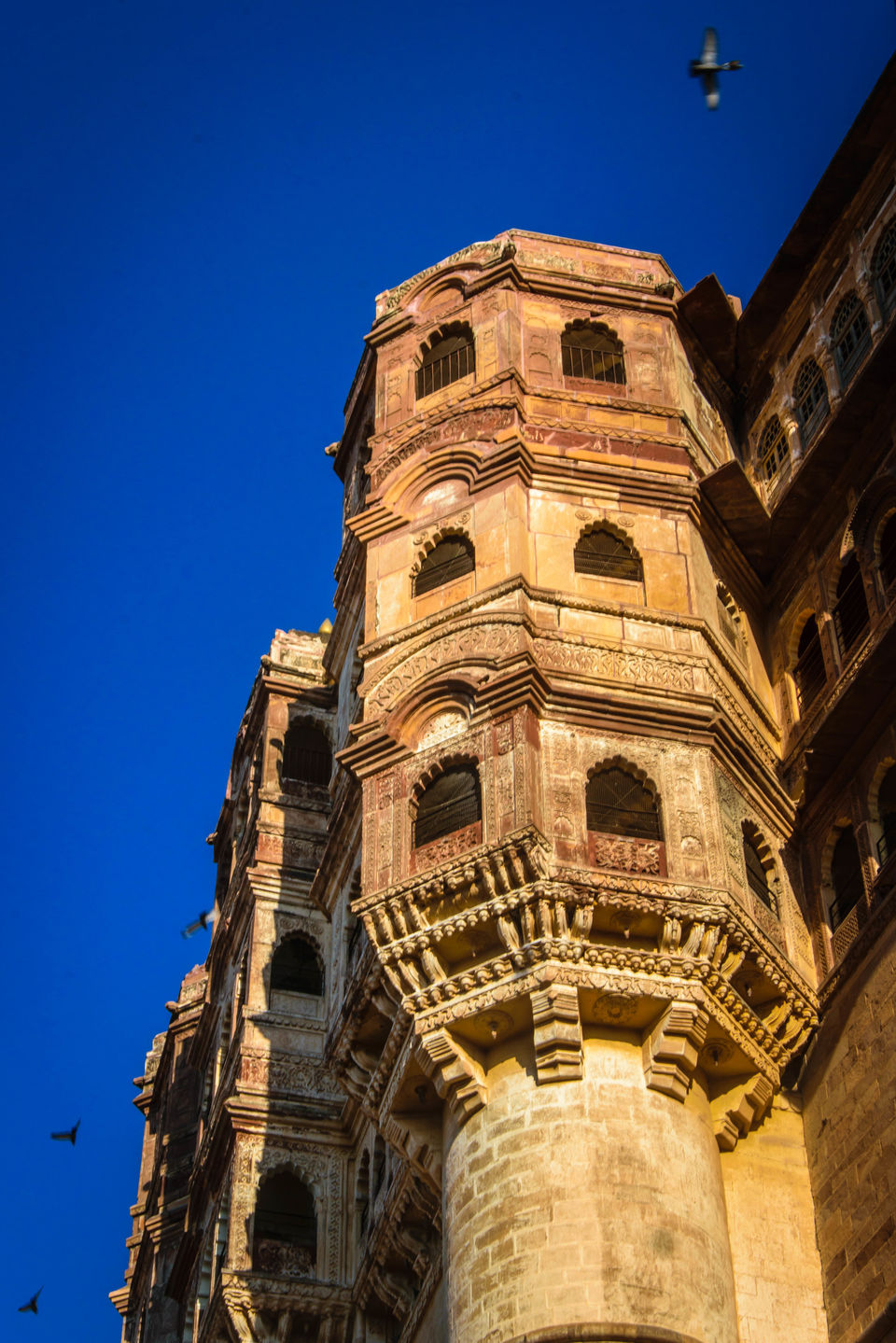 Photo of Tour guide to the Majestic Mehrangarh | Part 1: Fort Complex 11/21 by Amey Pednekar