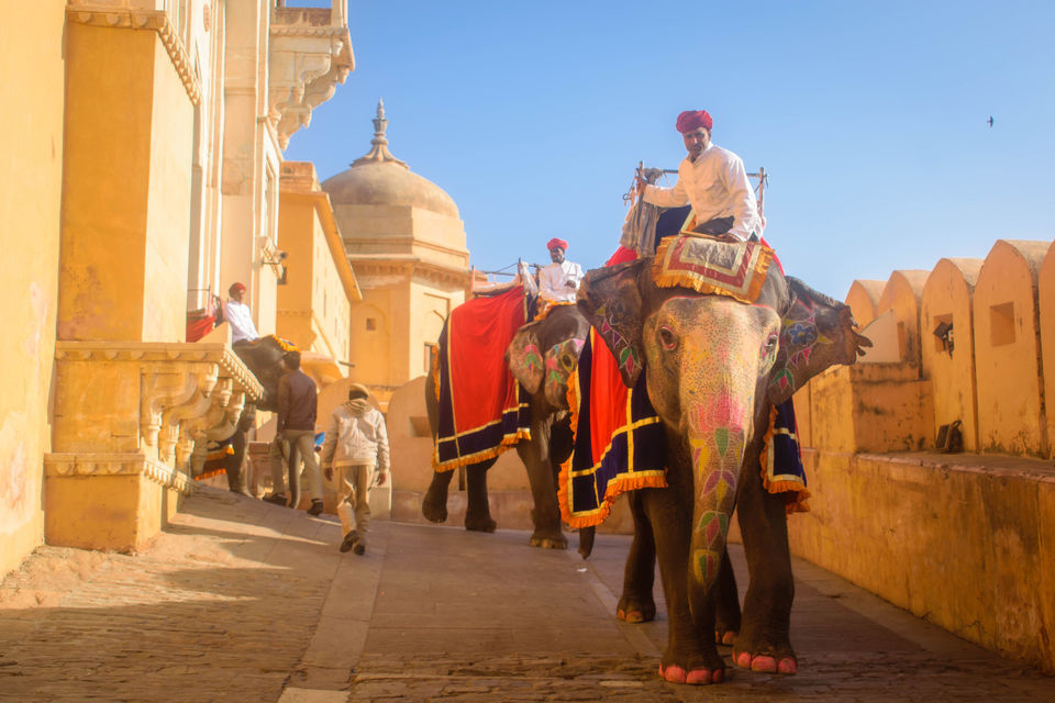 Photo of The Magical Pink City: Jaipur Travelogue and Guide 10/25 by Amey Pednekar