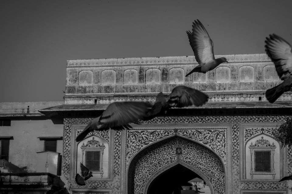 Photo of The Magical Pink City: Jaipur Travelogue and Guide 2/25 by Amey Pednekar