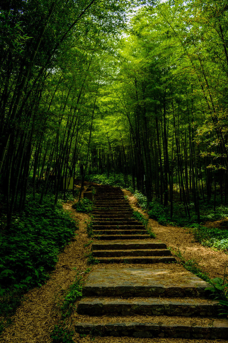 Photo of Nanjing, Jiangsu, China by Amey Pednekar