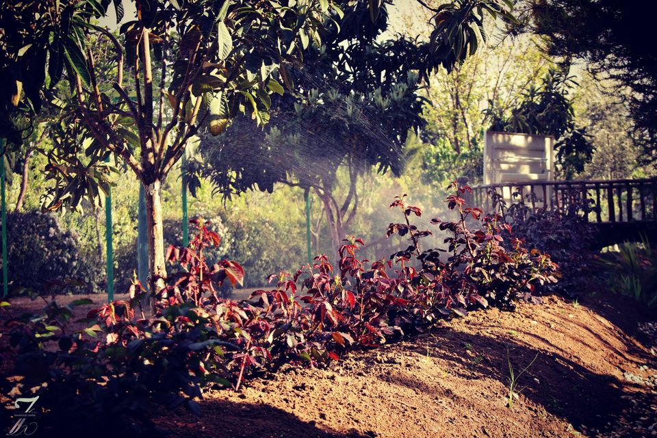 Photo of Old Damascus and the beauty of its countryside by Mahmoud Ali Zahra