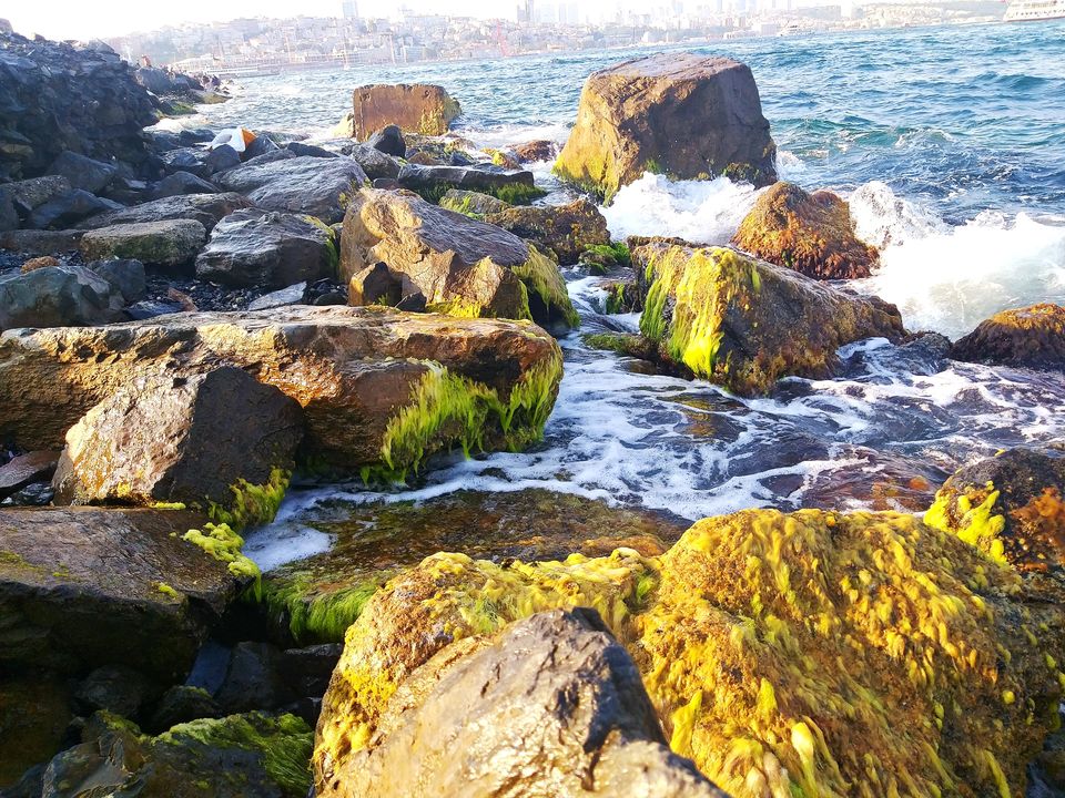 Photo of Gölhane Creek, Bingöl Merkez/Bingöl, Turkey by Mahmoud Ali Zahra