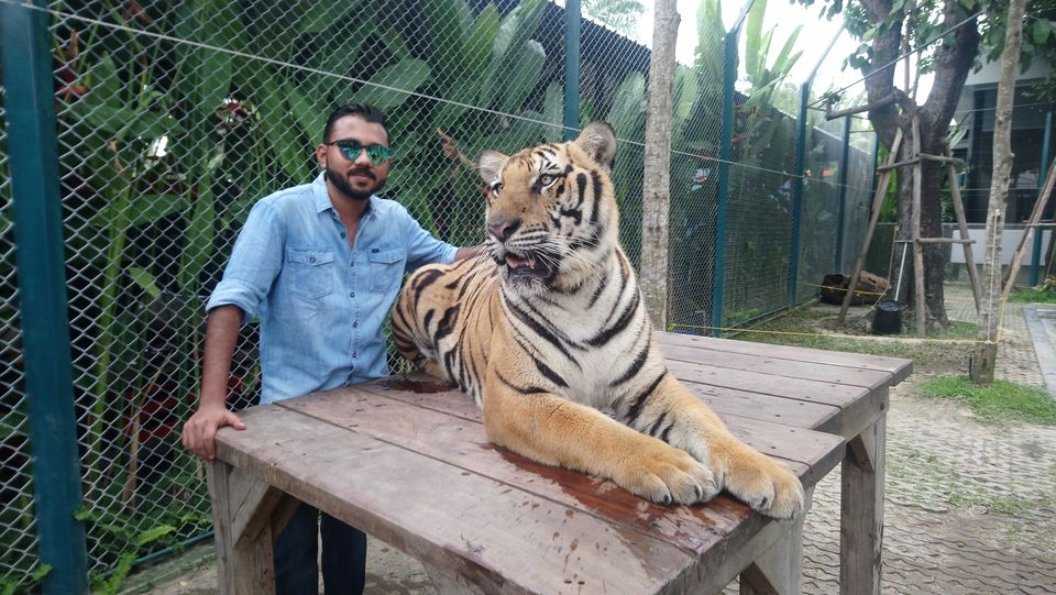 Photo of Tiger Park - Pattaya, Pattaya City, Bang Lamung District, Chon Buri, Thailand by The VagabonG