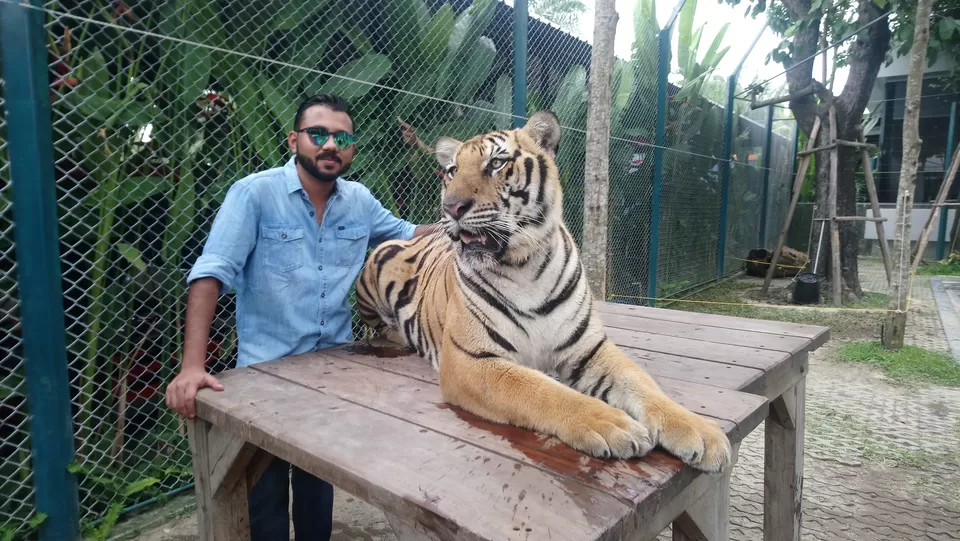 Photo of Tiger Park - Pattaya, Pattaya City, Bang Lamung District, Chon Buri, Thailand by The VagabonG