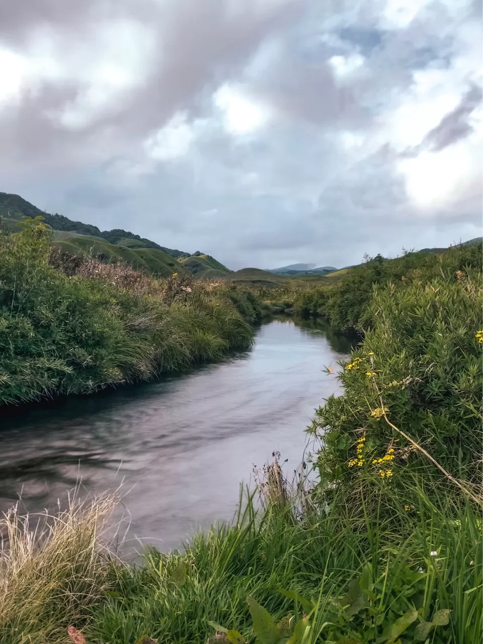 Photo of Dzükou Valley, Mao, Manipur, India by Srishti Tehri
