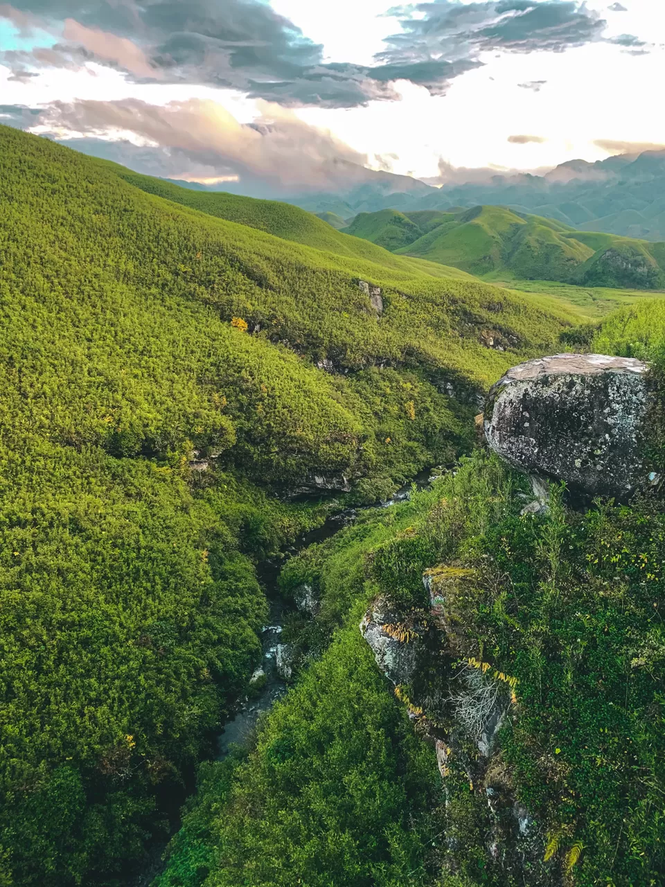 Photo of Dzükou Valley, Mao, Manipur, India by Srishti Tehri