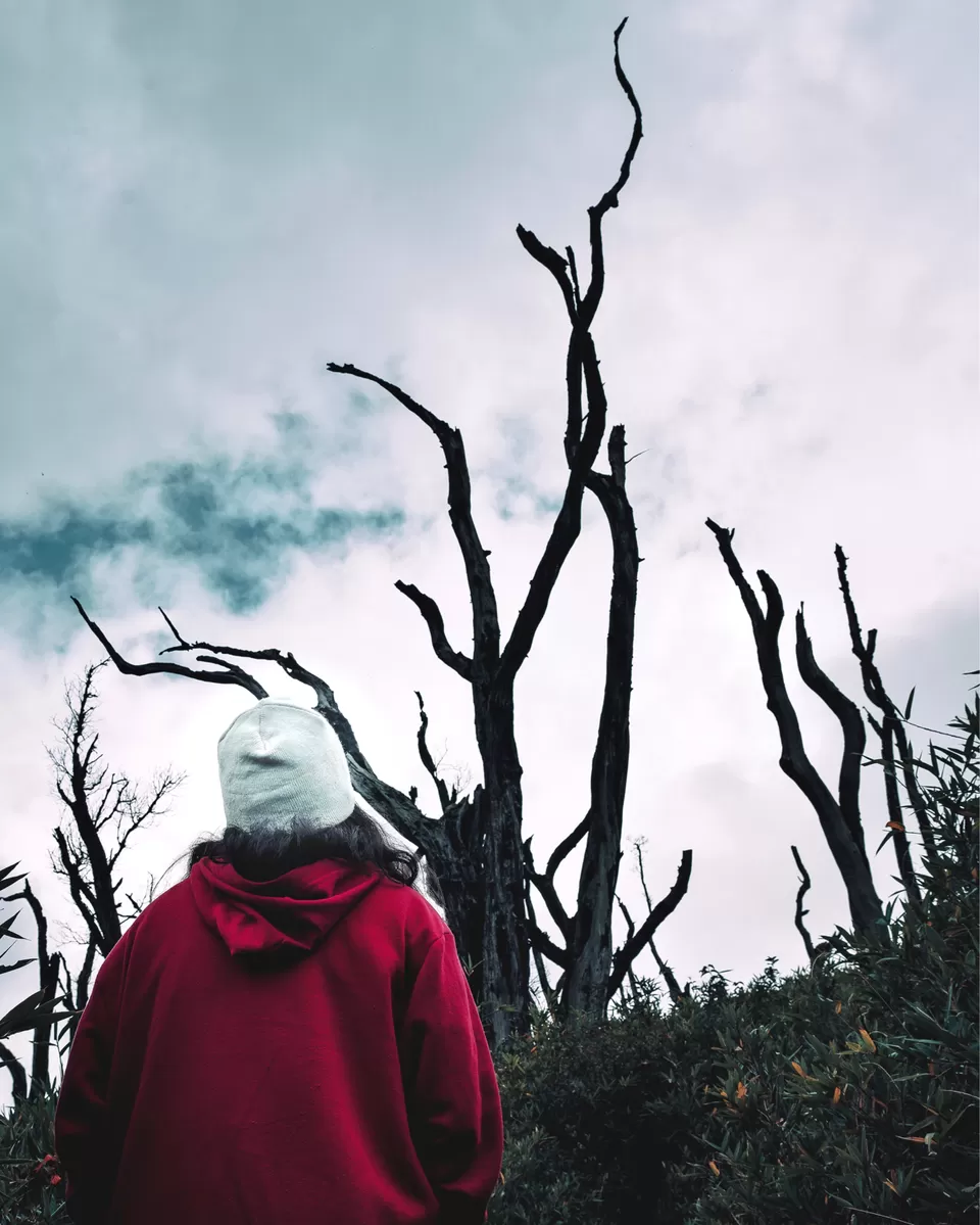 Photo of Dzükou Valley, Mao, Manipur, India by Srishti Tehri