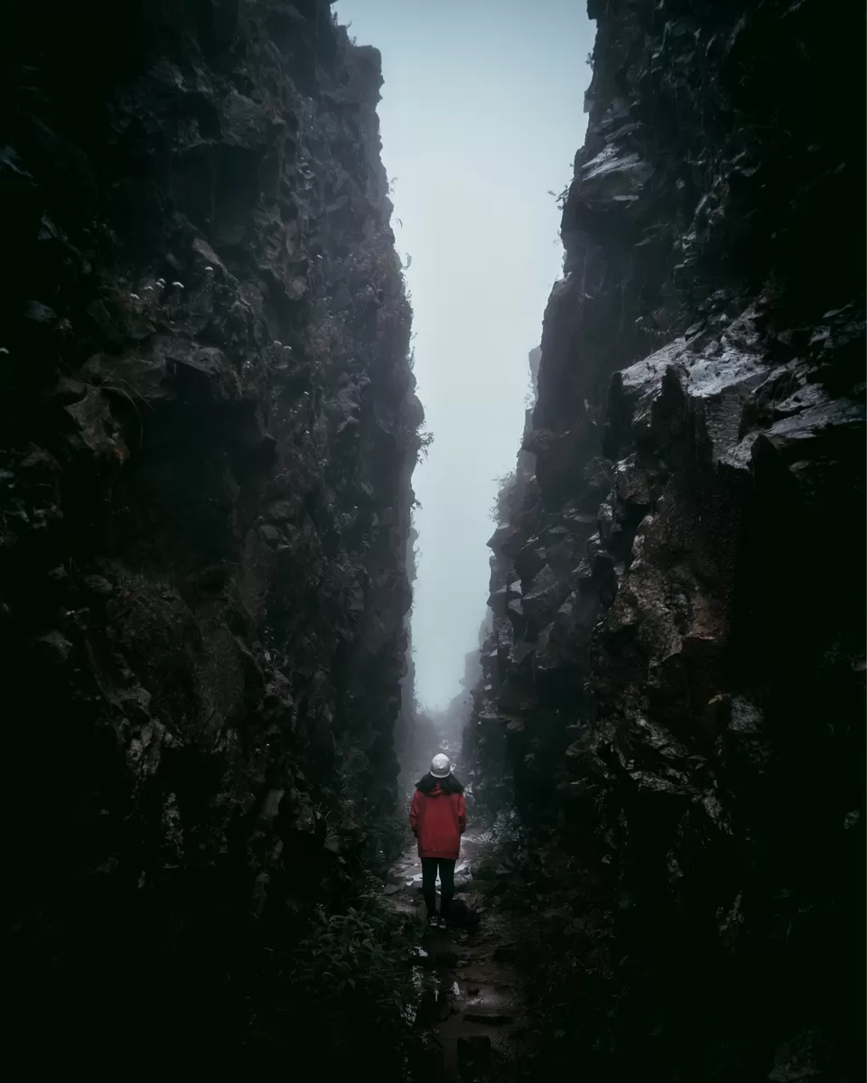Photo of Dzükou Valley, Mao, Manipur, India by Srishti Tehri