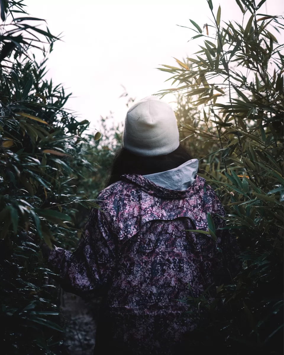 Photo of Dzükou Valley, Mao, Manipur, India by Srishti Tehri