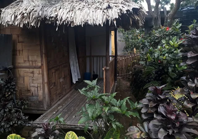 Photo of Mawlynnong, Meghalaya, India by Shailza Sood Dasgupta