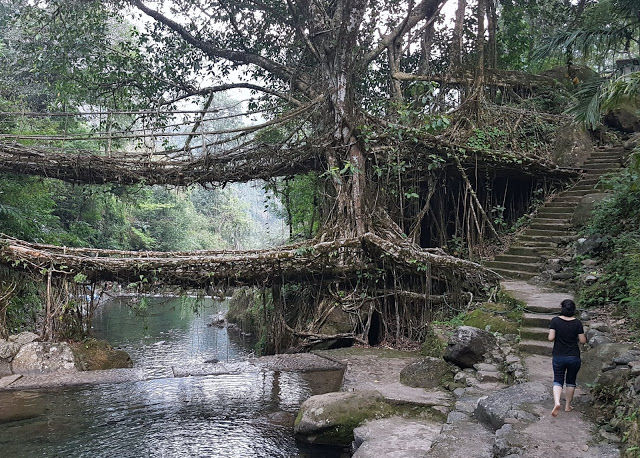 Photo of You do not want to miss this on your Trip to Meghalaya by Shailza Sood Dasgupta