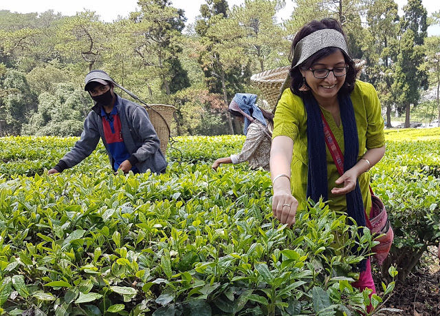 Photo of You do not want to miss this on your Trip to Meghalaya 1/1 by Shailza Sood Dasgupta