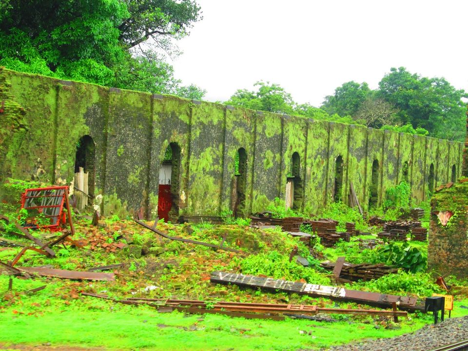 Photo of Trek to Doodhsagar 2/11 by Mr Migrant - Prabhu Gudimani