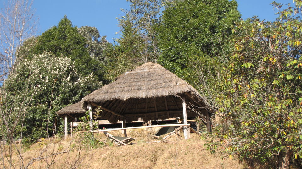 Photo of KUMAON SAFARI 2/22 by Kanika Sharma Shutterbug