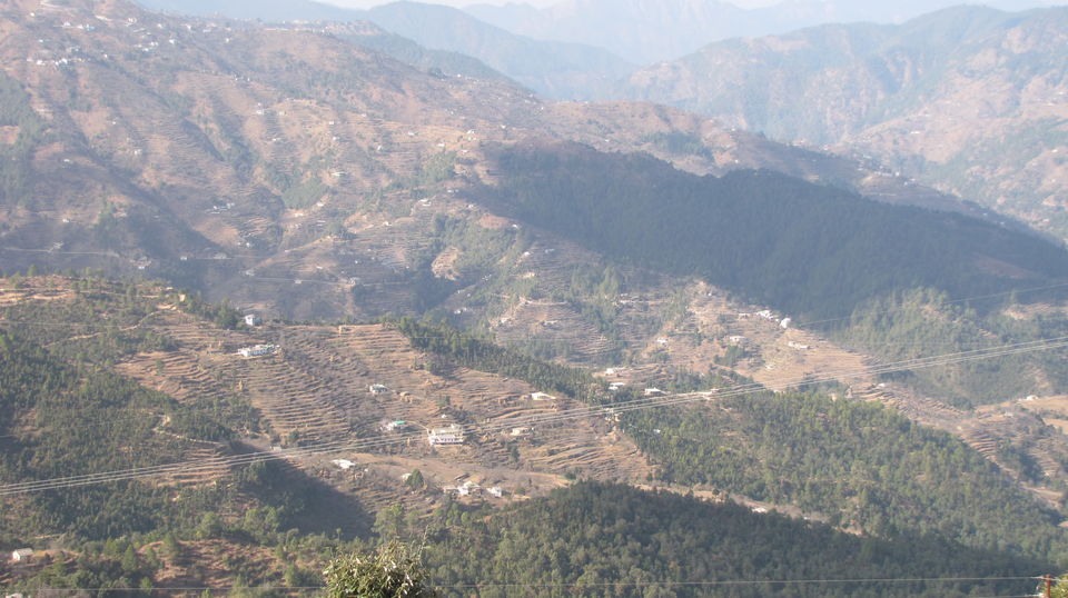Photo of KUMAON SAFARI 3/22 by Kanika Sharma Shutterbug
