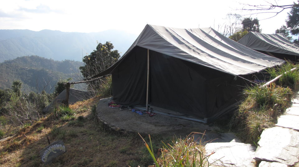 Photo of KUMAON SAFARI 4/22 by Kanika Sharma Shutterbug